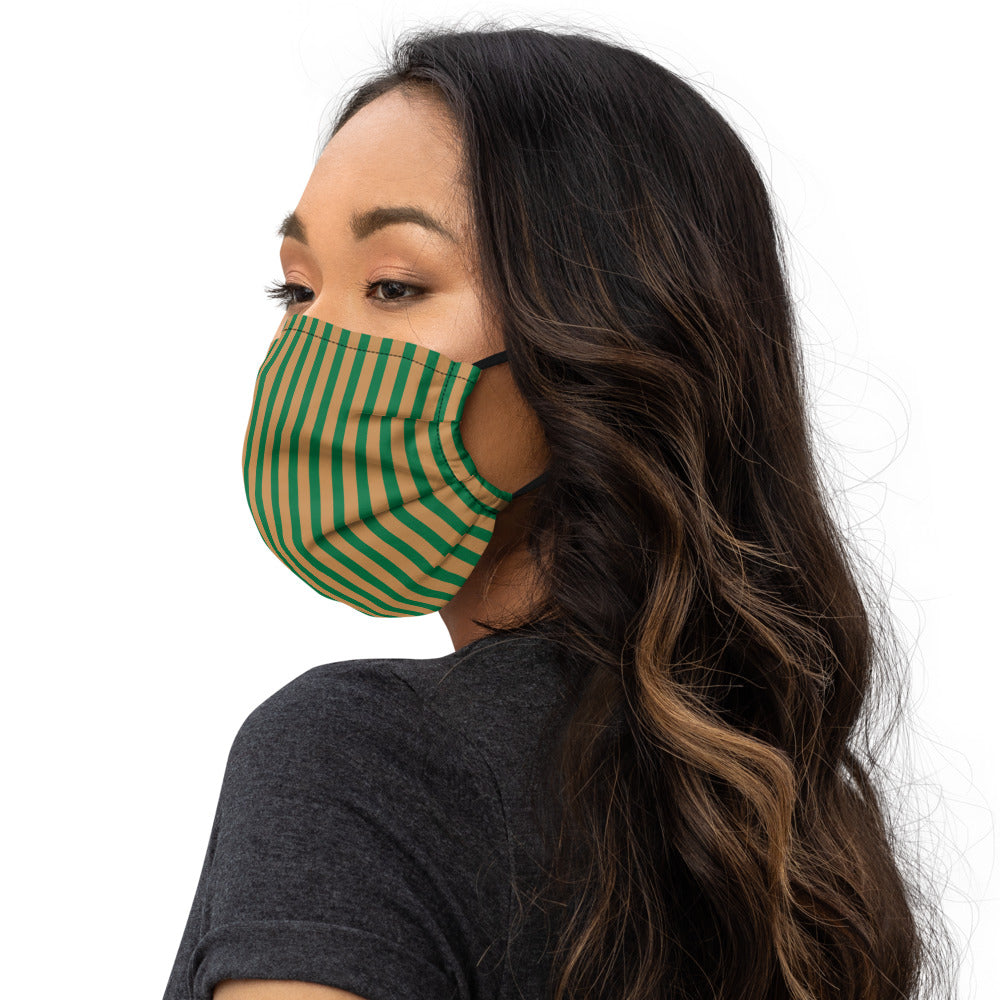 Face Mask (Emerald Stripes)