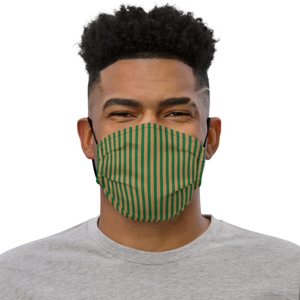 Face Mask (Emerald Stripes)