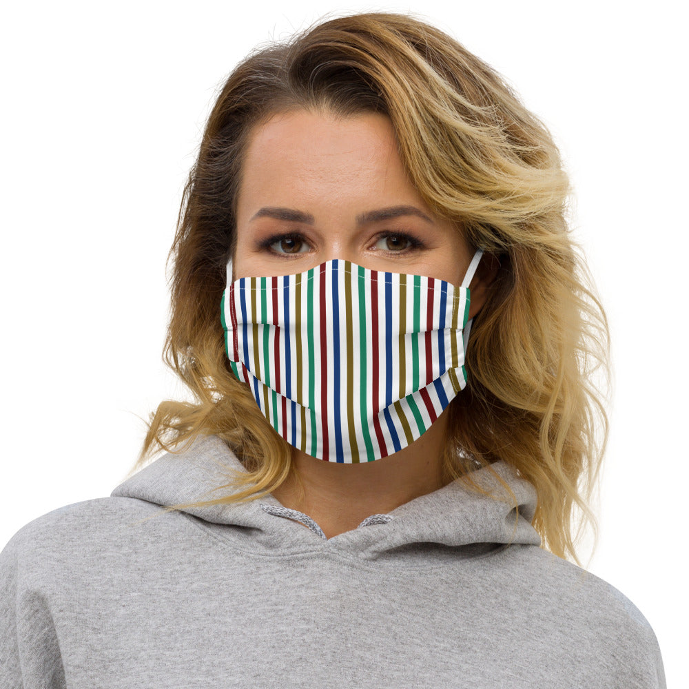 Face Mask (Colorful Stripes)