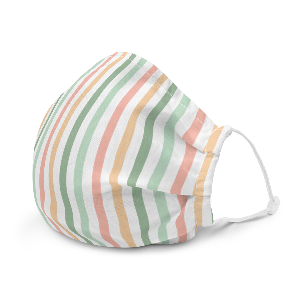 Face Mask (Light Stripes)