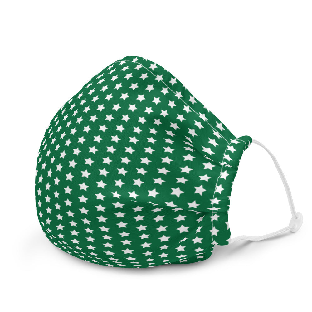 Face Mask (Green)