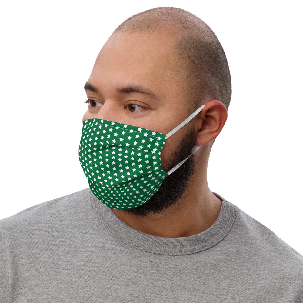 Face Mask (Green)